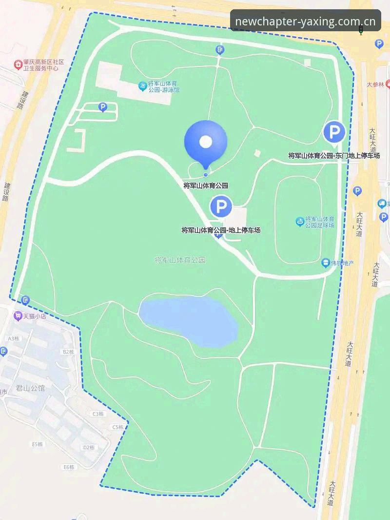 亚星体育平台登录指南：从入口选择到账号绑定的完整说明